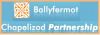 Ballyfermot Partnership Company Ltd 1